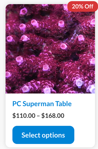 Screenshot 2024-01-08 at 3.14.27 PM copy.png