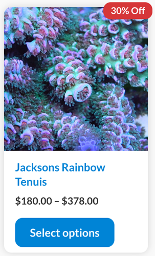 Screenshot 2024-01-09 at 8.25.35 AM copy.png