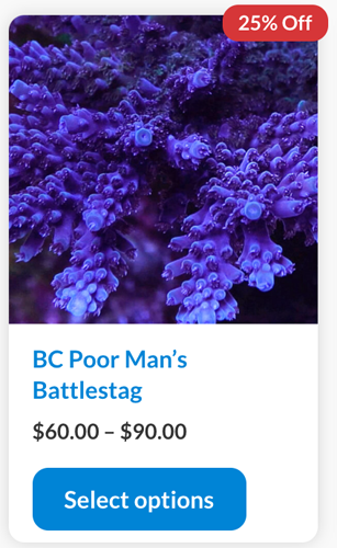 Screenshot 2024-01-24 at 1.51.18 PM copy.png Screenshot 2024-01-24 at 1.51.18 PM copy.png