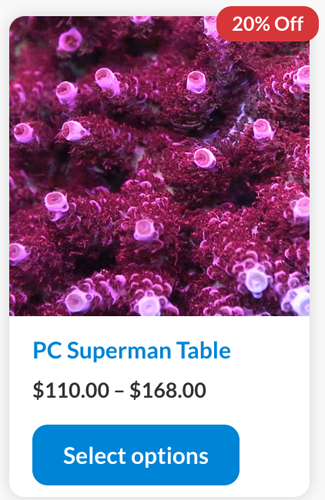 Screenshot 2024-01-24 at 1.52.17 PM copy.png Screenshot 2024-01-24 at 1.52.17 PM copy.png