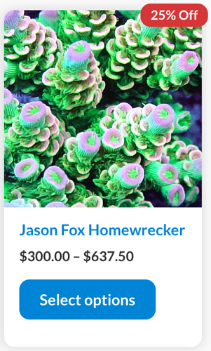 Screenshot 2024-01-24 at 1.52.36 PM copy.png Screenshot 2024-01-24 at 1.52.36 PM copy.png