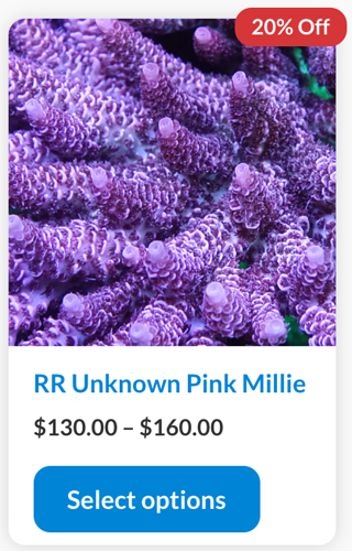 Screenshot 2024-01-24 at 1.52.47 PM copy.png Screenshot 2024-01-24 at 1.52.47 PM copy.png