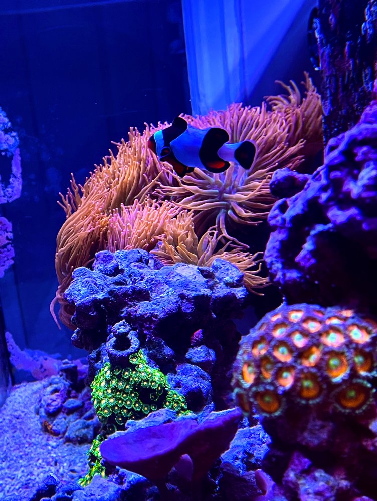 Screenshot 2024-04-21 at 10.09.56 AM.jpg