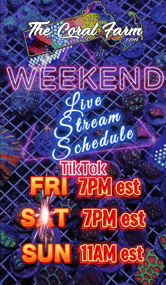 Screenshot 2025-01-17 081842.png