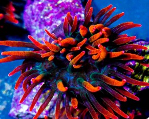 Screenshot 2025-03-13 114717.jpg