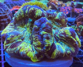 Screenshot 2025-03-13 114812.jpg