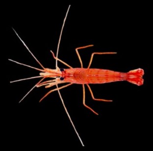 Screenshot 2025-03-13 114921.jpg