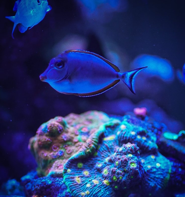 Screenshot 2025-09-11 174420.jpg