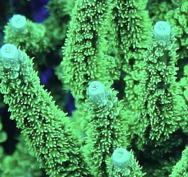 Screenshot 2025-09-12 at 12.11.32 PM copy.jpg