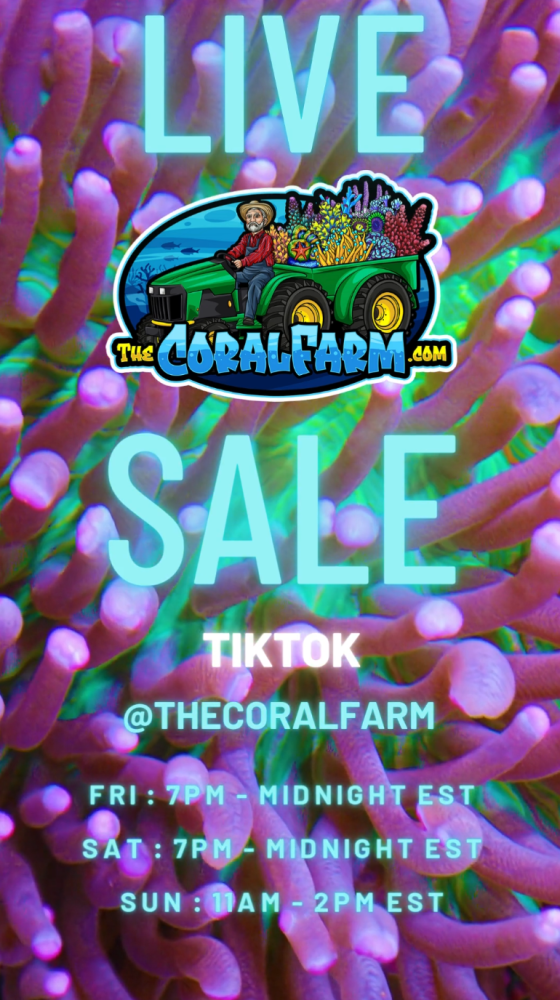 Screenshot LIVE SALE ADVERTISEMENT.png