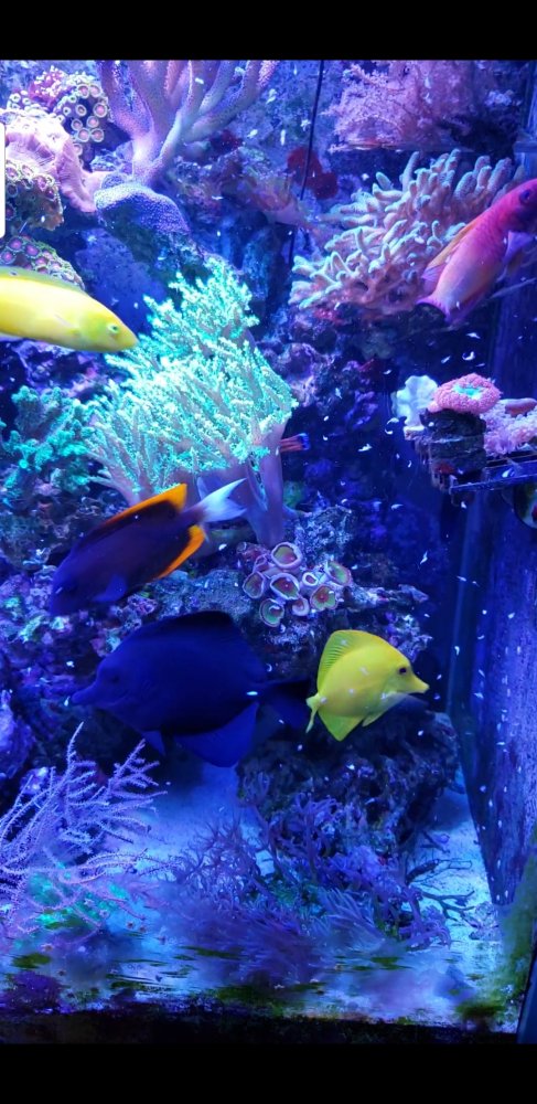 Screenshot_20200123-184003_Video Player.jpg