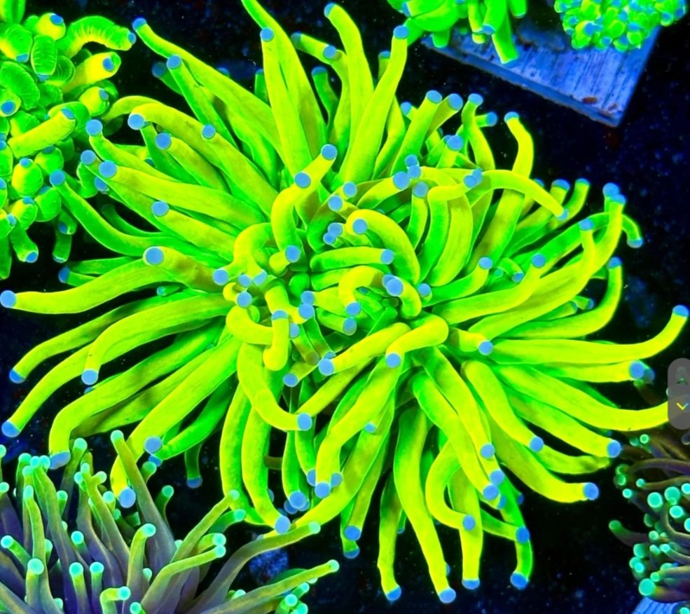 Screenshot_20240811_232323_Samsung Internet.jpg