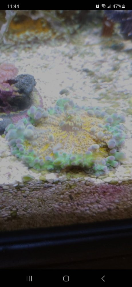 Screenshot_20240916_234447_Samsung Internet.jpg