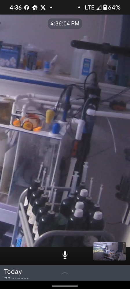 Screenshot_20241207-163607.png