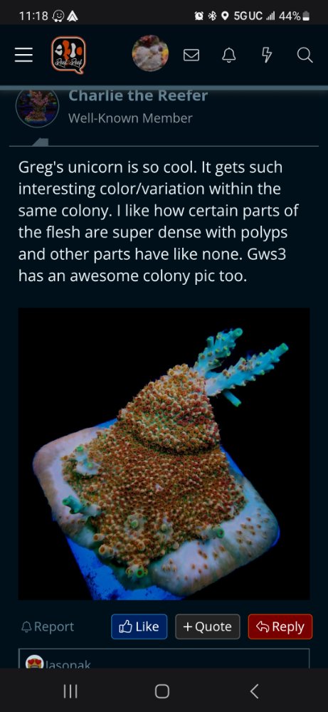 Screenshot_20260228_111812_Samsung Internet.jpg