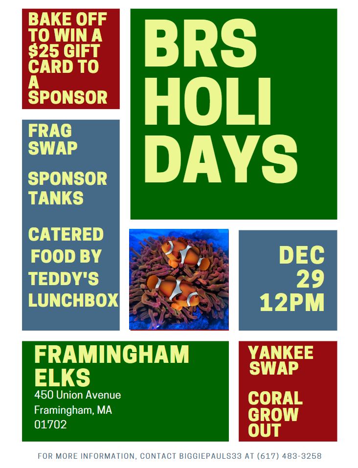 Simple December Forum Flyer.JPG