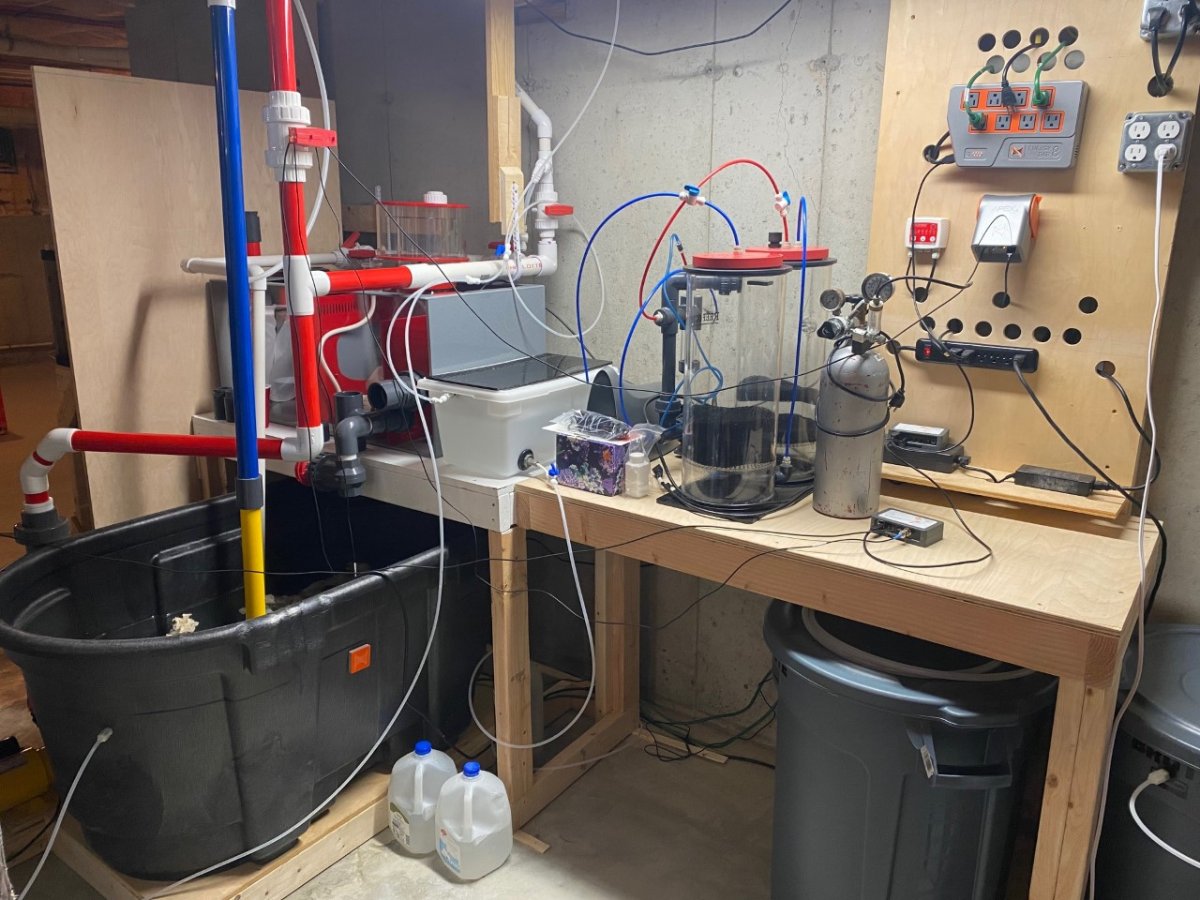 sump and equipment.jpg