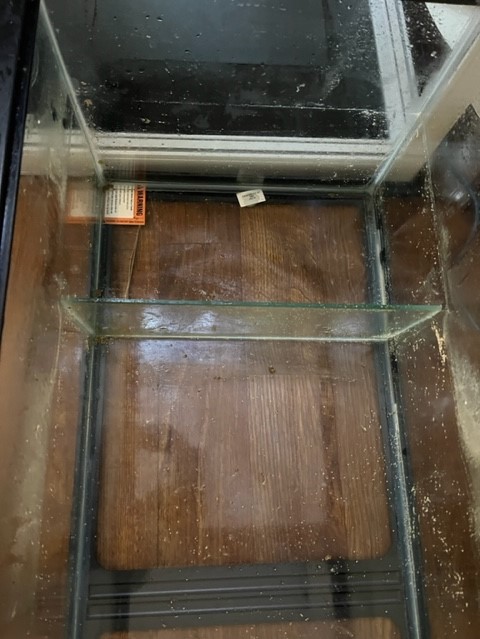 Sump top first chamber.jpg
