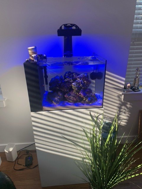 Tank 3.jpg