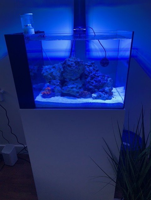 Tank 4.jpg