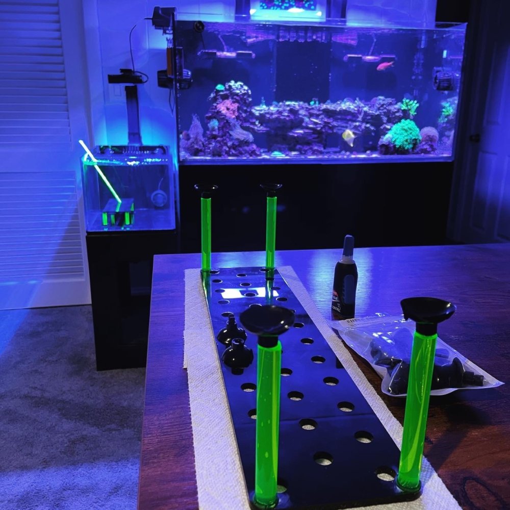 thumbnail_EB820606-2948-4608-84AF-B3939948A0F6 (1).jpg