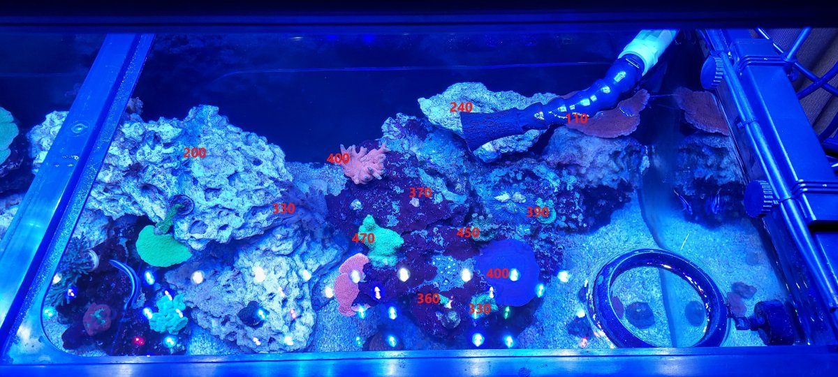 top right par readings.jpg