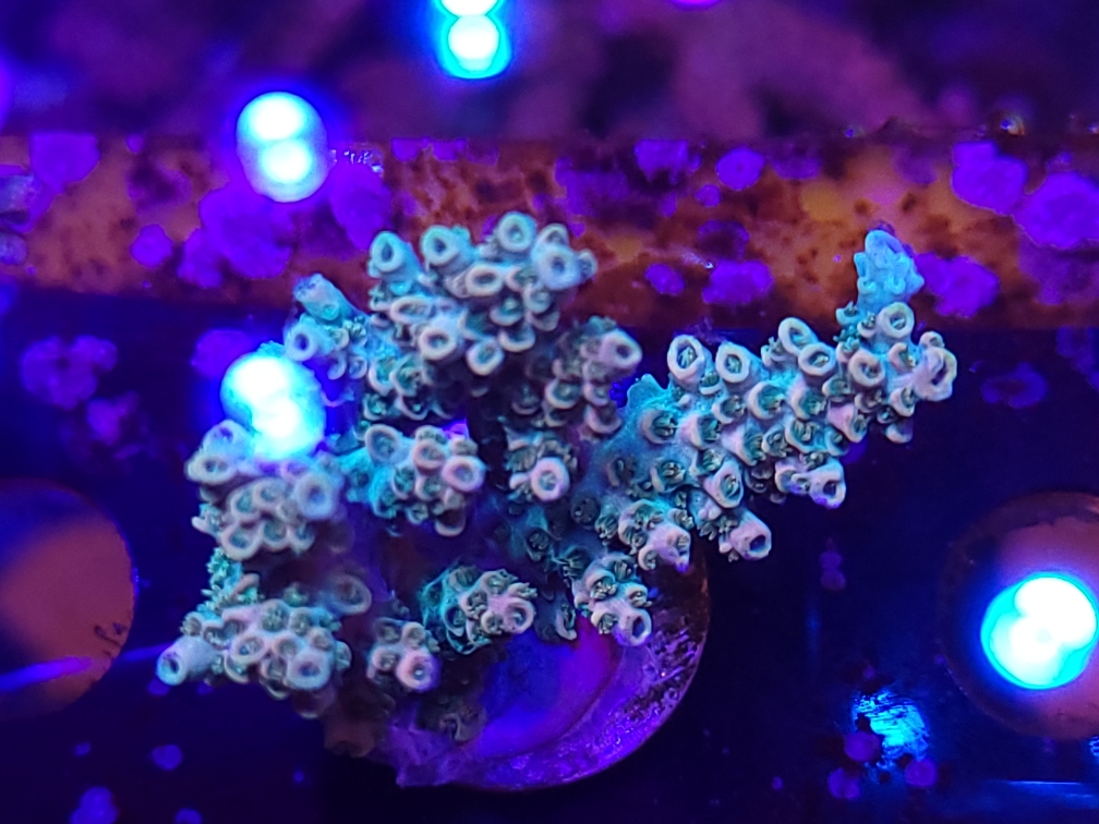 TSA bill murray.jpeg