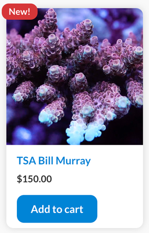 TSA Bill.png