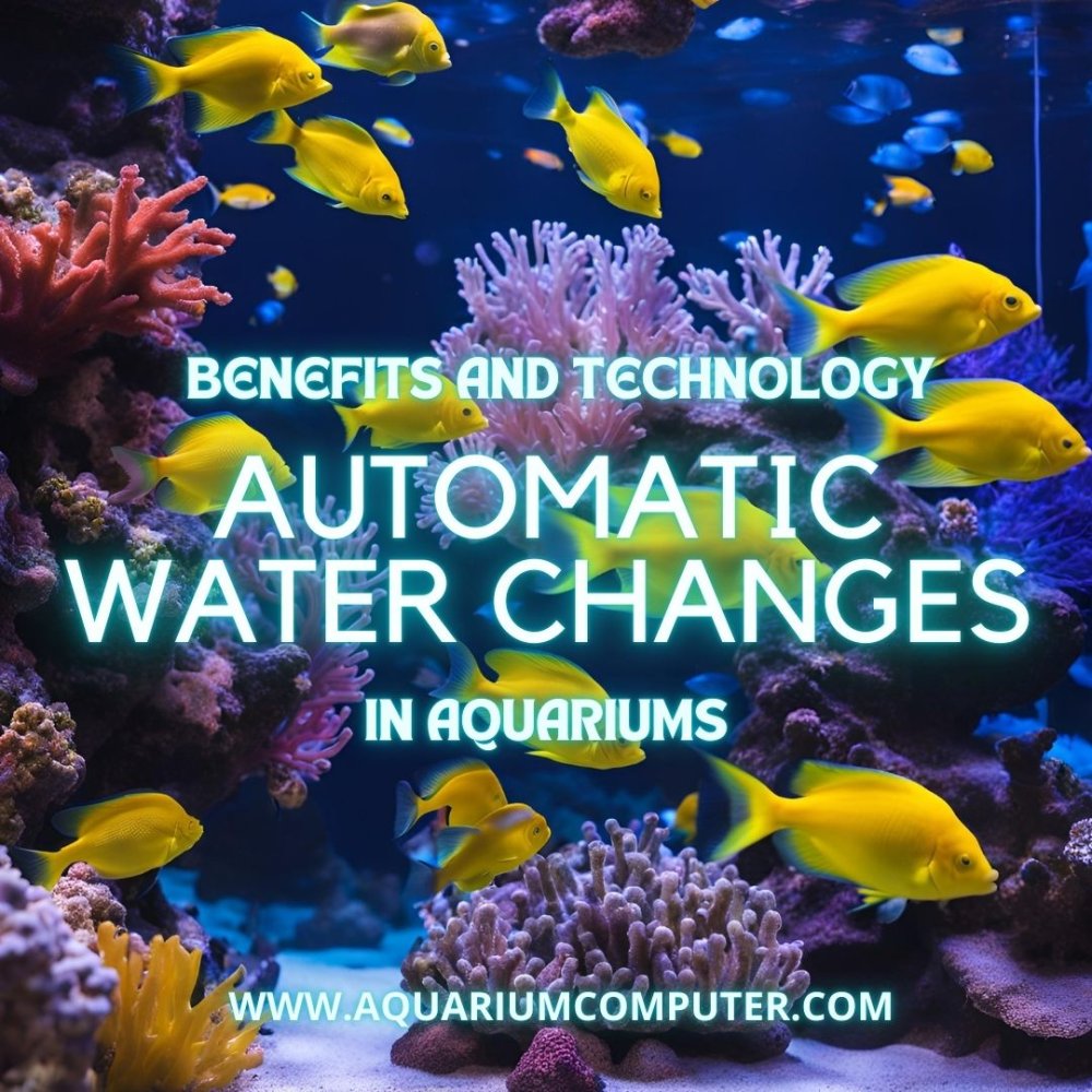 Why AWC (Oct 2024).jpg