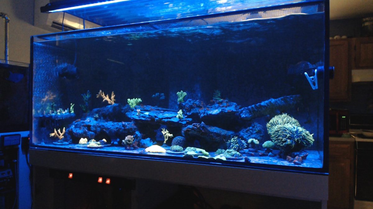 WIN_20220811_10_07_38_Pro (1).jpg