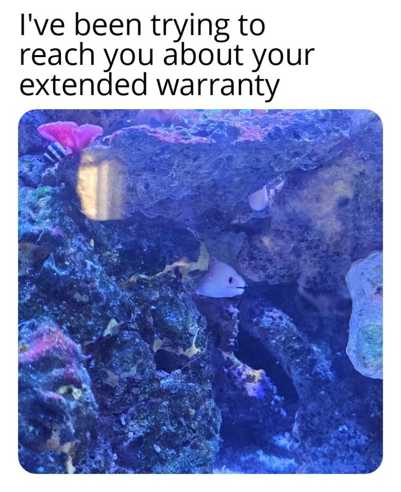 ZomboMeme 14122023030649.jpg