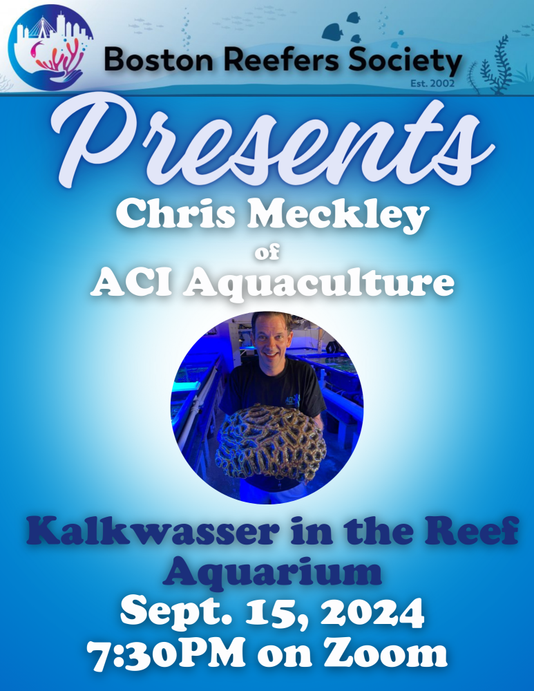 Zoom Meeting Templates (1).png