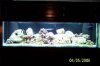 aquascape.JPG