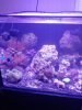 20190815_164501_HDR.jpg