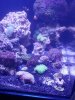 20190815_164443.jpg