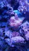 20190927_203653.jpg