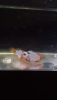 Screenshot_2020-03-20-08-21-38.png