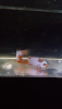 Screenshot_2020-03-20-08-21-30.png