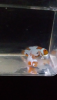 Screenshot_2020-03-20-08-21-11.png