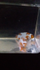 Screenshot_2020-03-20-08-20-59.png