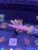 10923499-BBB2-43C7-8EC2-77884F66764D.jpeg