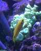 IMG_0449.jpeg