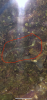 481A3DD0-2F86-49C0-B1E2-90A29D469645.png