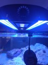 IMG_20210404_163605.jpg
