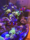 C62914D1-C854-430F-BF97-4559F8AF7FF1.jpeg