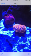 258BB86B-5941-4F14-BF6C-0F1D7A00E60F.png