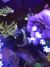 8E436D16-C2C5-49EF-97E1-0A7A10445FFE.jpeg