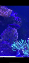 F57D6138-11E1-432E-9C69-BA0336E384C5.png