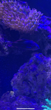 8F2EFEA6-ECED-46B3-821A-51E575C76654.png