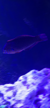 05111F7F-C760-4641-92F3-44F08955E470.png